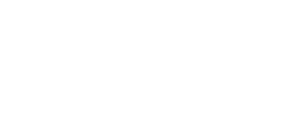 大阪市生野区の“引越のりゅうちゃん”は一人暮らし・単身赴任者向けの、早期対応が可能な引越し業者です。